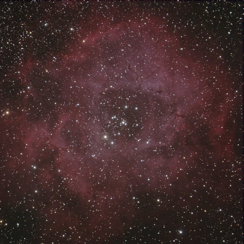 Rosette