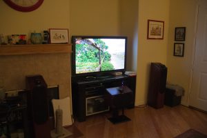 Mojo's home theater living room.