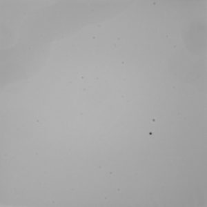 Flat image with dust specks and vignetting.