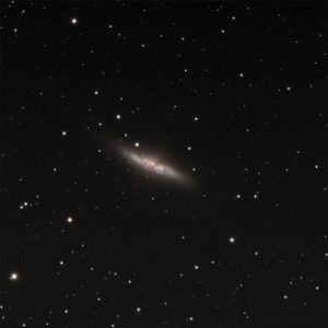 M82